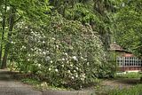 tannenfeld-sommer 2012-016
